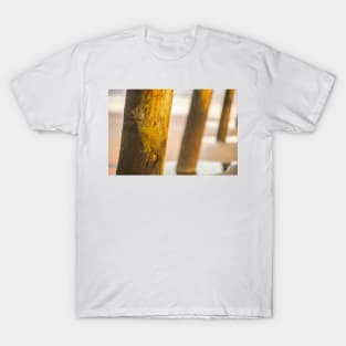 Dock Beach T-Shirt